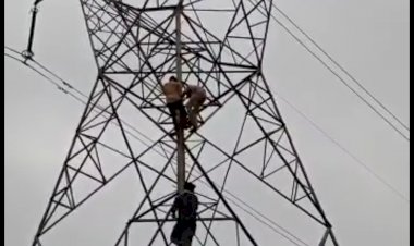 अलावड़ा:- परिजनों की डांट से नाराज युवक हाईटेंशन लाइन पर चढ़ा, पुलिस कांस्टेबल ने जान पर खेलकर बचाया