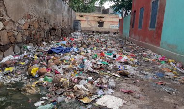 रामगढ़ कस्बे में जगह-जगह फैली गंदगी से चिंतित समाजसेवी ने संपर्क पोर्टल पर की शिकायत