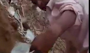 आबाकारी पुलिस ने तसई मे 80 लीटर हथकढ शराब की जब्त,आराेपी फरार