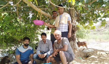 अभाविप का सेल्फी विद परिंडा अभियान हुआ शुरू