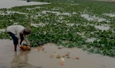 उम्मेद सागर बांध पेटे मे किसानों के फंसे होने को सूचना ने कराई प्रशासन को  परेड