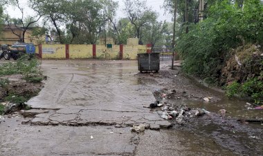 राजगढ़ कस्बे मे गंदगी का आलम खोल रहा पालिका प्रशासन की सफाई व्यवस्था की पोल