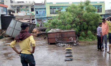 मकराना में चक्रवर्ती तूफान ताऊ ते का प्रभाव देखने को मिला, कहीं पर पेड़ गिरे तो, कहीं पर हुआ जलभराव