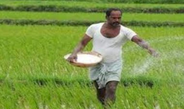 कोरोना कल में मोदी सरकार ने दी किसानों को राहत, अब 2400  की बजाय 1200 रुपये में ही मिलेगा डीएपी