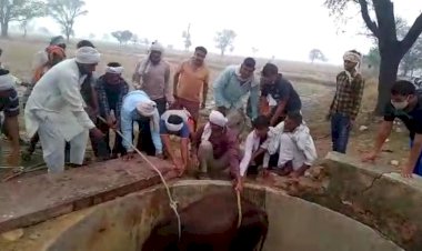 कुए मे गिरे सांड काे ग्रामीण युवाओ ने रेश्क्यू कर निकाला जिंदा