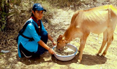 स्काउट व गाइड के द्वारा अपने घर- मौहल्ले में विभिन्न गतिविधियों का आयोजन कर मनाया गया अंतरराष्ट्रीय जैव विविधता दिवस