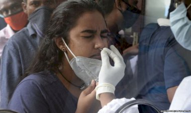 अलवर जिले में संक्रमण दर 5% घटी, राहत की खबर देने वाले एक सप्ताह के आंकड़े