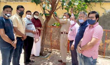 परिंडे व पक्षी घर बाँध कर दाना व पानी डालने की शुरुआत की