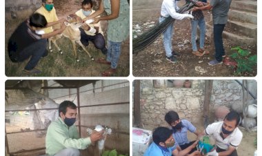 एक ओर हो रहा जीवो शिकार वही दूसरी तरफ जीवो को बचाने मे जुटा हुआ परिवार