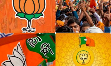 केंद्र सरकार के 7 वर्ष पूर्ण होने पर सेवा सप्ताह के रूप में मनाएगी भाजपा