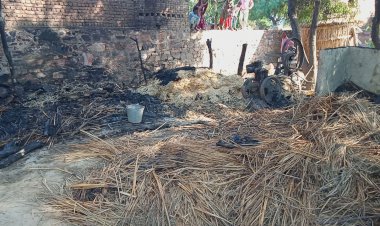 ढाणा गांव के छप्पर पोस मकान में लगी आग