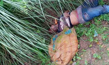 चौरीचौरा थाना क्षेत्र के भाऊपुर में झाड़ियों के बीच मिली अज्ञात युवक की लाश, लोगों ने जताई हत्या की आशंका