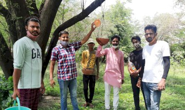 जनसेवा में मोदी सरकार के सात साल पूरे होने पर लगाए 51 परिंडे