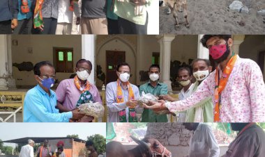 भाजपा ने धूणी माता विकलांग गौशाला में गायों को गुड़ खिलाया व पक्षियों के लिए बांधे परिण्डे