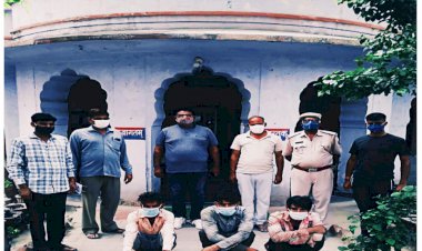 गौ तस्करों पर कसा शिकंजा, पकड़े तीन गो तस्कर,एक पिकअप को किया जप्त