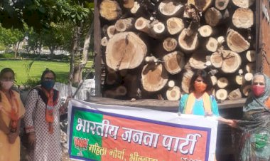 भाजपा महिला मोर्चा ने दाह संस्कार के लिए दी 5 टन सूखी लकड़िया , पंचमुखी मोक्ष धाम में की भेंट