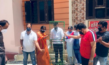 युवा पत्रकार आडवाणी ने वृक्षारोपण कर मनाया जन्मदिन,  संकट से जूझ रहे परिवारों की सेवा का अवसर