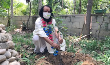 प्रकृति माँ को शृंगार विहीन होने से बचाएँ:- श्री हरि चैतन्य महाप्रभु