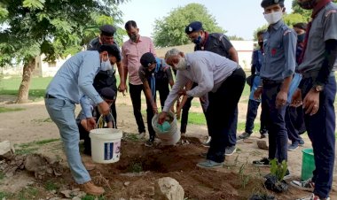 विश्व पर्यावरण दिवस पर प्रकृति प्रेमीयों ने किया वृक्षारोपण