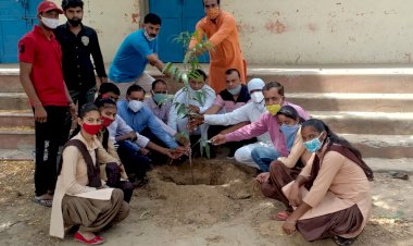 स्वयंसेवको ने प्रभारी के नेतृत्व में किया पौधरोपण