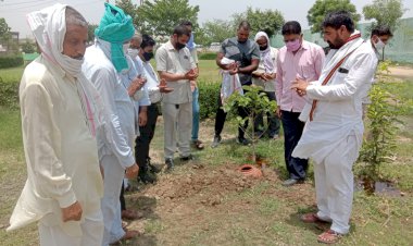 लुपिन ने मनाया विश्व पर्यावरण दिवस