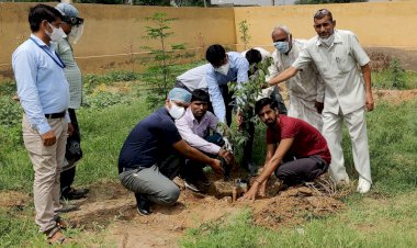 पेड़ है ऑक्सीज़न के दाता, पेड़ लगाए जीवन बचाए- जैन
