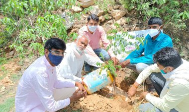 प्रकृति के साथ छेड़छाड़ व पेड़ो की कटाई रोकना पहली आवश्यकता - मीणा