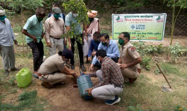 माताश्री गोमती देवी जन सेवा निधि व लुपिन द्वारा विश्व पर्यावरण दिवस कार्यक्रम का किया गया आयोजन