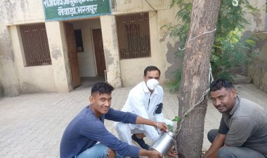 संवेदनशील गहलोत सरकार में सुनवाई नहीं होने से आयुष नर्सेज में पनप रहा है असन्तोष