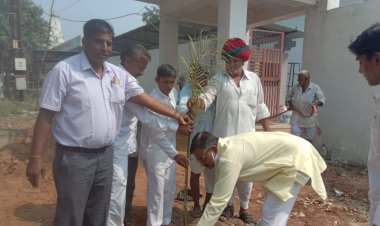 विश्व पर्यावरण दिवस हरनी महादेव स्थिति धर्मशाला में पौधारोपण कर मनाया