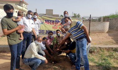 भारत विकास परिषद द्वारा बालाजी कॉलोनी पार्क में किया वृक्षारोपण
