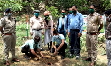 राजगढ़ मे विश्व पर्यावरण दिवस पर विभिन्न कार्यक्रम हुए आयोजित