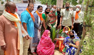 महावीर इंटरनेशनल संघर्ष वीरा केन्द्र उपनगर पुर द्वारा पौधोंरोपण किया गया