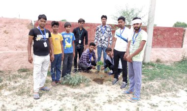 विश्व पर्यावरण दिवस के उपलक्ष में लगाए 101 पौधे