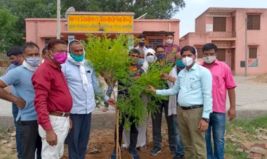 स्वस्थ वायु मिलने पर अनेको बीमारियों से मिलेगी मुक्ति - मीणा