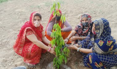 विश्व ब्राह्मण परशुराम शक्ति संघठन की ओर पर्यावरण दिवस पर पौधारोपण आयोजित