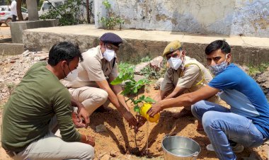 पेड़ आक्सीजन का सबसे बड़ा स्रोत है- जैफ
