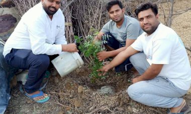 पर्यावरण संतुलन के लिए संरक्षित वृक्षारोपण करना जरूरी- फौजदार