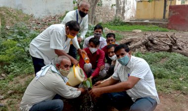 सकट के विद्यालय में पौधारोपणकर पर्यावरण बचाने का लिया संकल्प