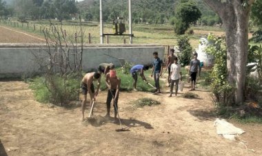 राजपुर छोटा मे बगीची वाले हनुमानजी मंदिर पर सफाई के साथ किया पौधरोपण