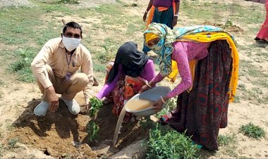35 पौधे छायादार लगाऐ और छायादार पौधे लगाने का लिए संकल्प