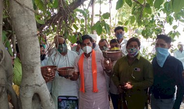 सेवा ही संगठन कार्यक्रम के तहत परींडे लगाकर पक्षियों के लिए दाना-पानी की व्यवस्था की