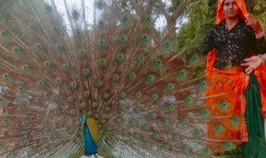 मानव का व्यवहार मधुर हो तो अपने आप दोस्त बन जाते हैं पशु पक्षी