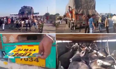 लॉकडाउन मे मिली ढील के बाद गौतस्कर हुए सक्रिय, ट्रक मे फर्जी नंबर प्लेट लगा की जा रही गौतस्करी