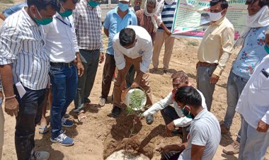 हरा भरा तालाब अभियान के तहत किया पौधरोपण