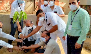 जन्मदिवस पर सीनियर नर्सिंग ऑफिसर नरेंद्र कुमार की अनूठी पहल, अस्पताल परिसर में किया वृक्षारोपण