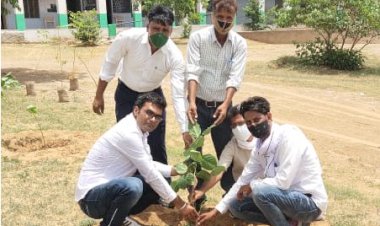 पेड़ पौधों का हमारे जीवन में बहुत बड़ा महत्व- वर्मा