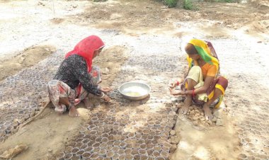 गुरला नर्सरी वन विभाग कर रही डेढ़ लाख औषधीय पौधे तैयार घर घर होगा निशुल्क वितरण