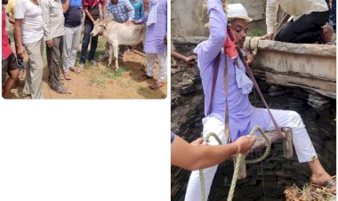 सिरयानी मे गहरे कुँए मे गिरे बछडे को बाहर निकाल बचाई जान
