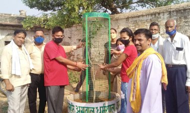 पेड़ मानव के मित्र और ऑक्सीजन के सबसे बड़े भंडार - बंसल